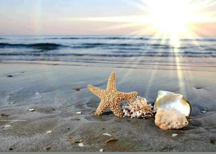 Lägenhet Bayview Family Garden A1