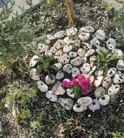 Apartmán Bayview Family Garden A1 Burgas City