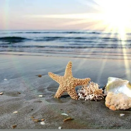 Apartment Bayview Family Garden A1